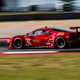 Illustration for article titled Your Lone Star Le Mans Uber Photo Gallery Is Hotter Than The Heat In Texasem/em